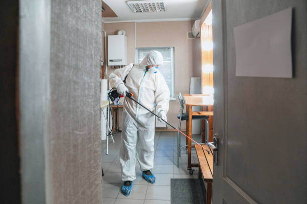 Best Black Mold Removal  in Green Knoll, NJ